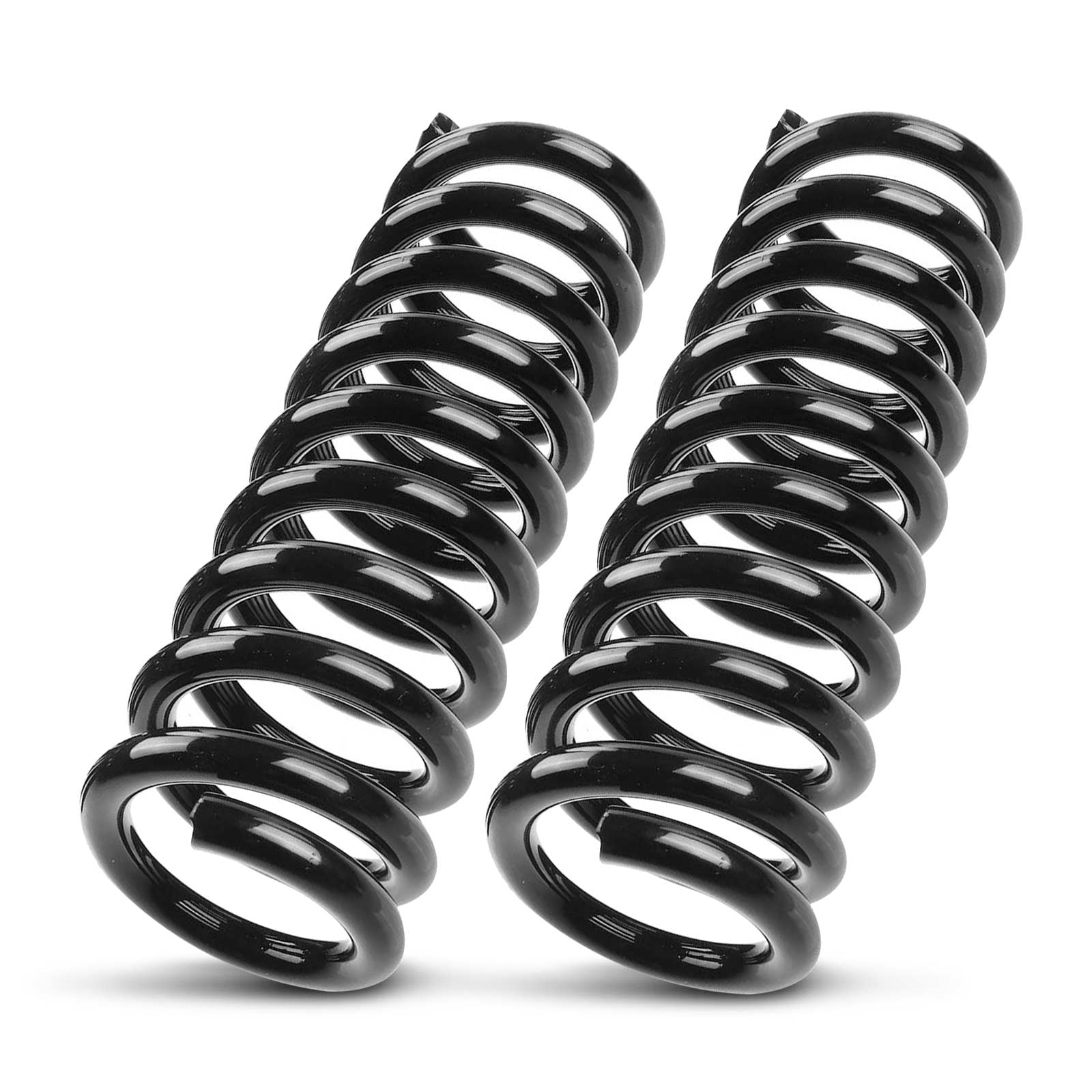 【希少】エリオシケ　ゾリラエンシス　KP-2180 Eriosyce ザリラエンシスCH-KP2180 | RIMO'S GREEN 【Saboten