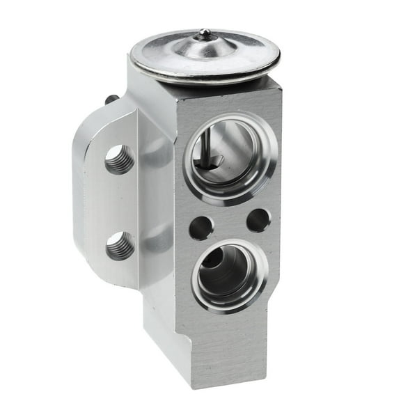 A-Premium A/C Expansion Valve Compatible with Audi A4/A4 Quattro Q5 S4 2009-2012 A4 allroad 2014-2016 A5/A5 Quattro 2008-2012 allroad 2013 S5 2008-2011