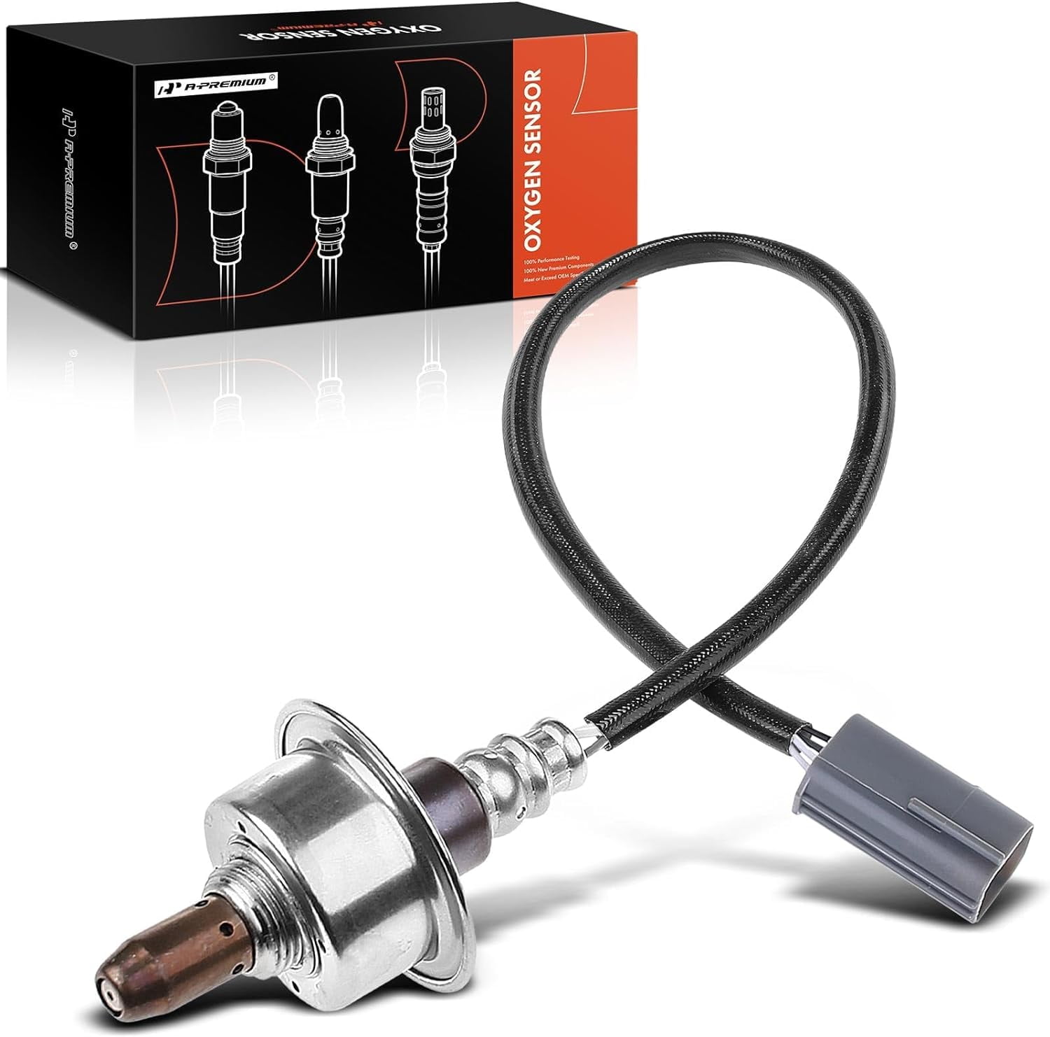 ASAページ s-l1200.jpg