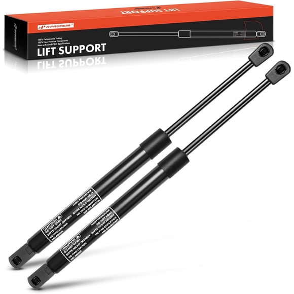 A-Premium Tailgate Rear Trunk Lift Supports Shock Struts Replacement for 300 2005-2008 Sedan