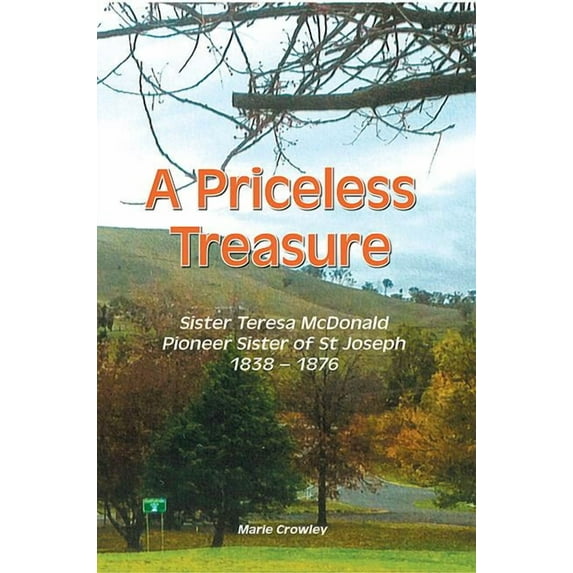 A Priceless Treasure (Hardcover)