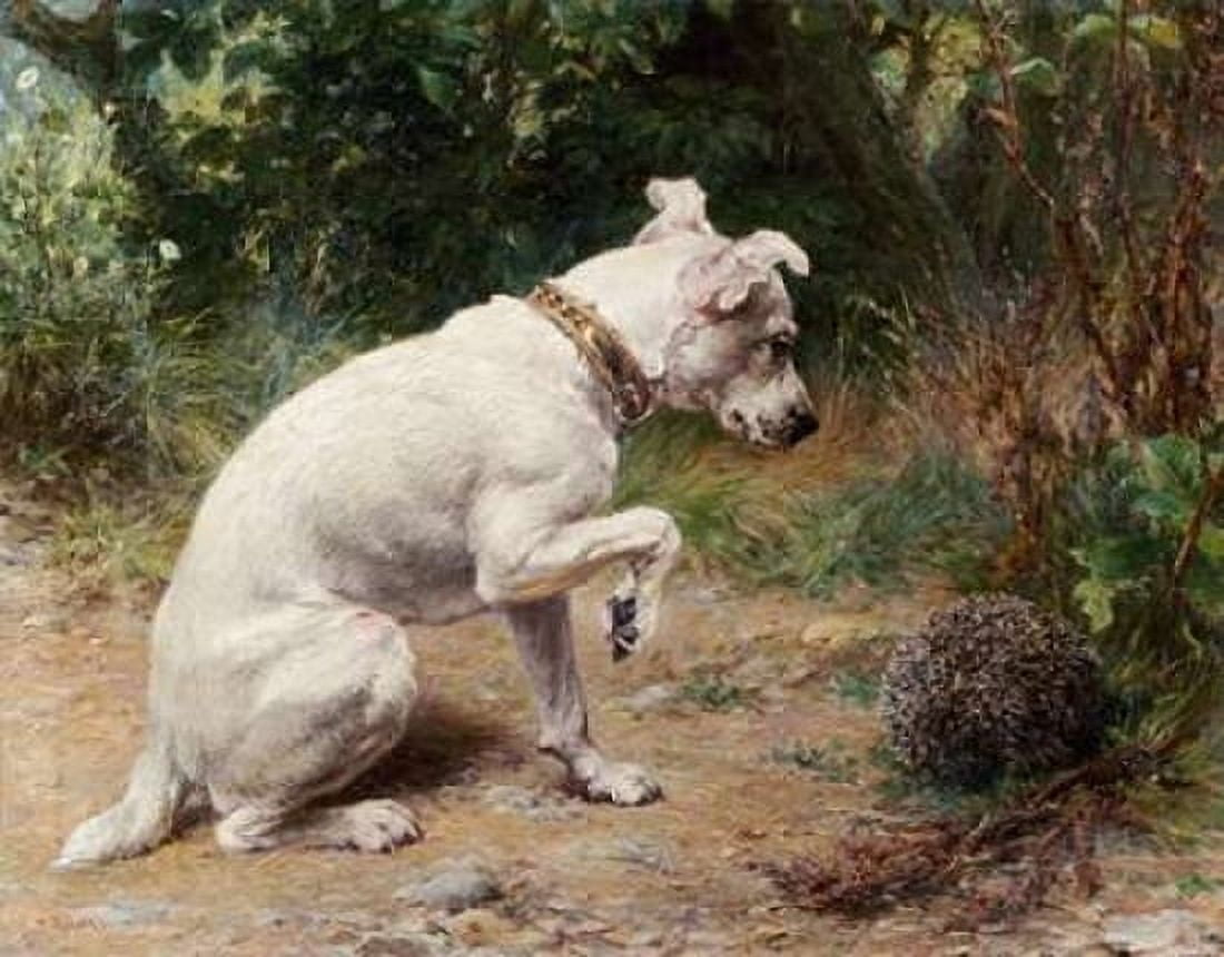 A Prickly Problem Canvas Art - George Augustus Holmes (22 x 28)