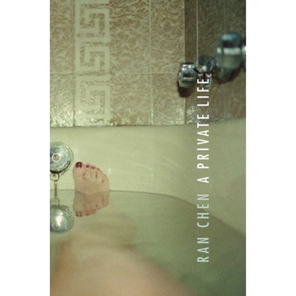 Pre-Owned A Private Life (Hardcover) 0231131968 9780231131964