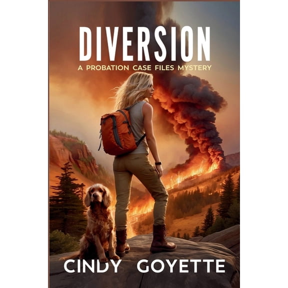 A Probation Case Files Mystery Diversion: A Probation Case Files Mystery, Book 3, (Paperback)