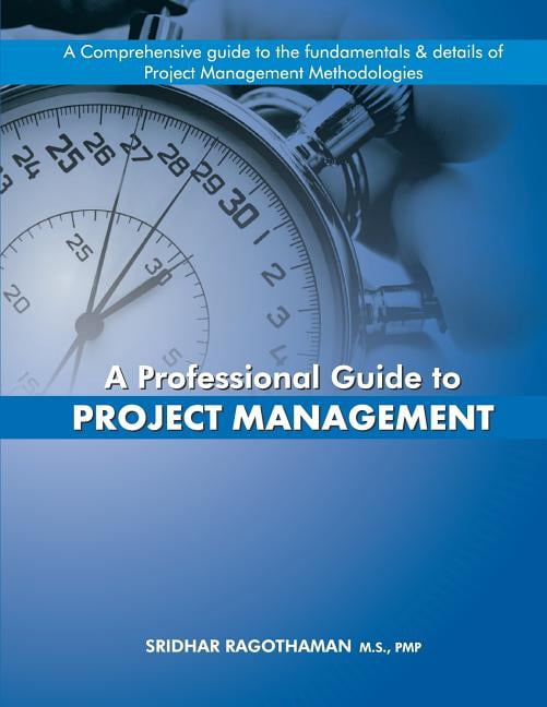 Project Management Guide Paracha A Professional Guide to Project Management - Walmart.com