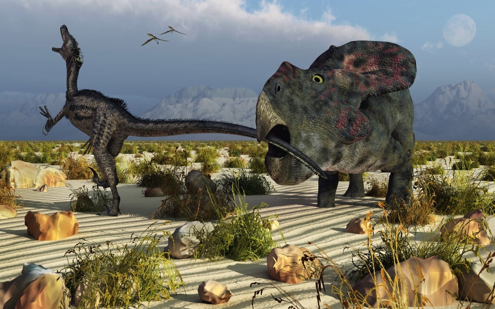 A Protoceratops biting the tail of an attacking Velociraptor Canvas Art - Mark StevensonStocktrek Images (18 x 12)