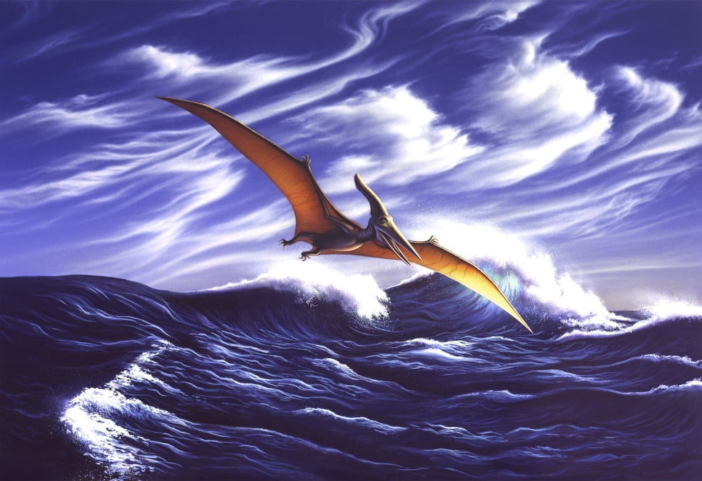 A Pteranodon soars just above the waves Canvas Art - Jerry LoFaroStocktrek Images (18 x 12)