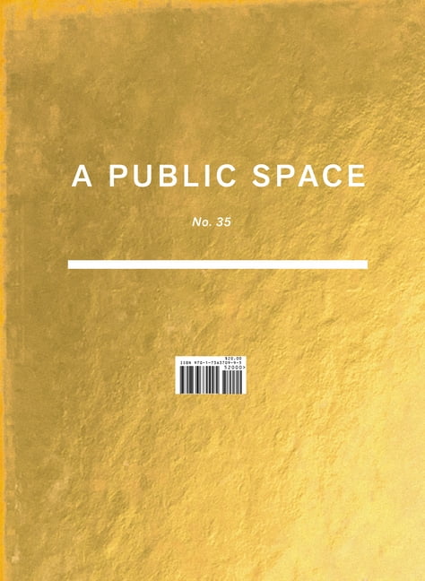 A Public Space No. 35, (Paperback)