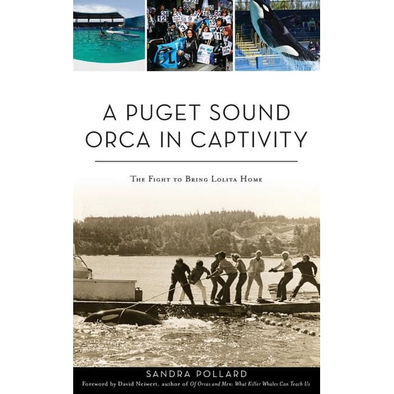 A Puget Sound Orca in Captivity (Hardcover)