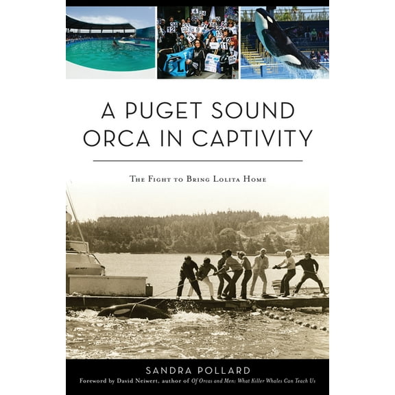 A Puget Sound Orca in Captivity: The Fight to Bring Lolita Home, (Paperback)