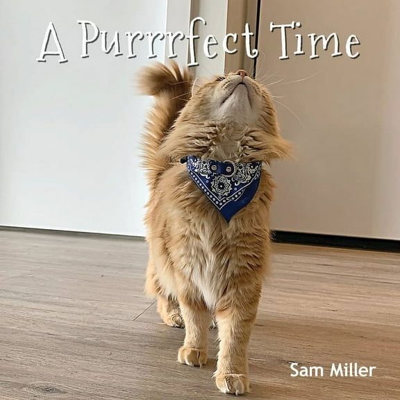 A Purrrfect Time, (Paperback)