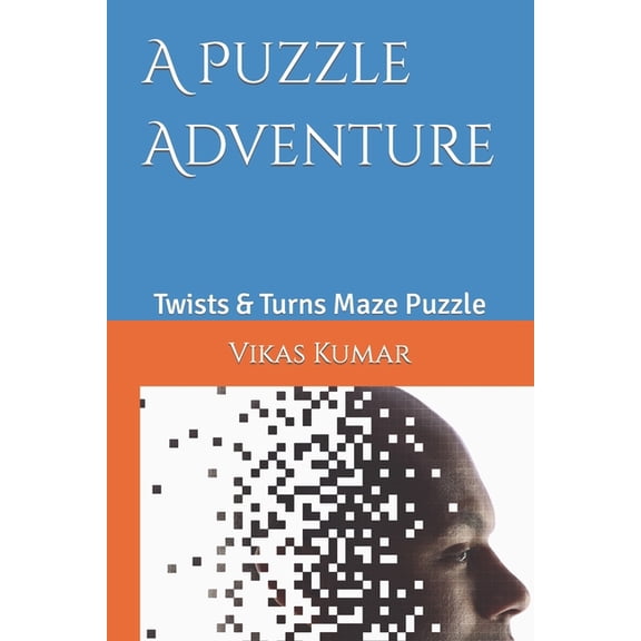 A Puzzle Adventure: Twists & Turns Maze Puzzle
