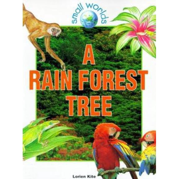 Pre-Owned A Rain Forest Tree (Paperback) 0778701468 9780778701460