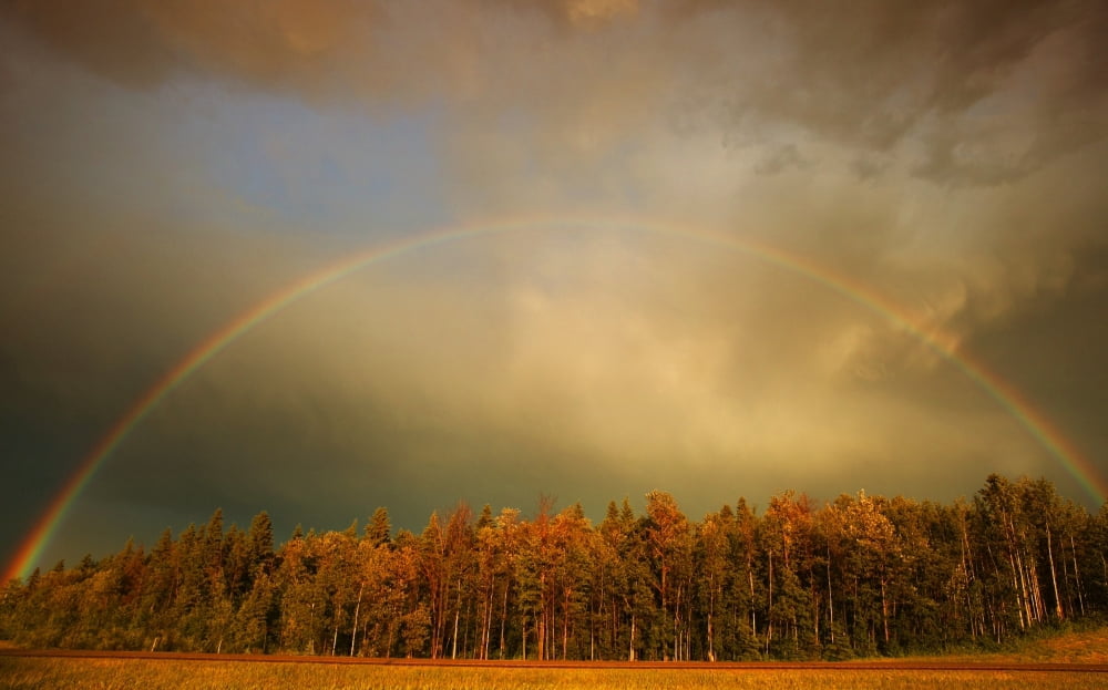 A Rainbow Over A Wooded Area Canvas Art - Don Hammond Design Pics (17 x 11)