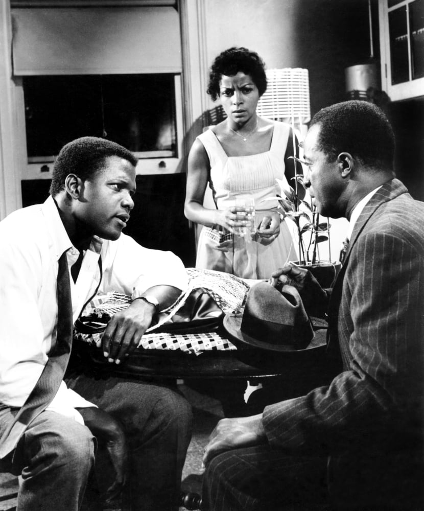 A Raisin In The Sun Canvas Art - (16 x 20)
