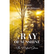 A Ray of Sunshine The Perfect Storm, Paperback