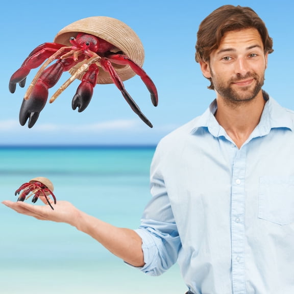 A Realistic Solid Hermit Crab Marine Animal Figure Kids Educational Toy Simulation Ocean Life Model Plastic Figurine For Children