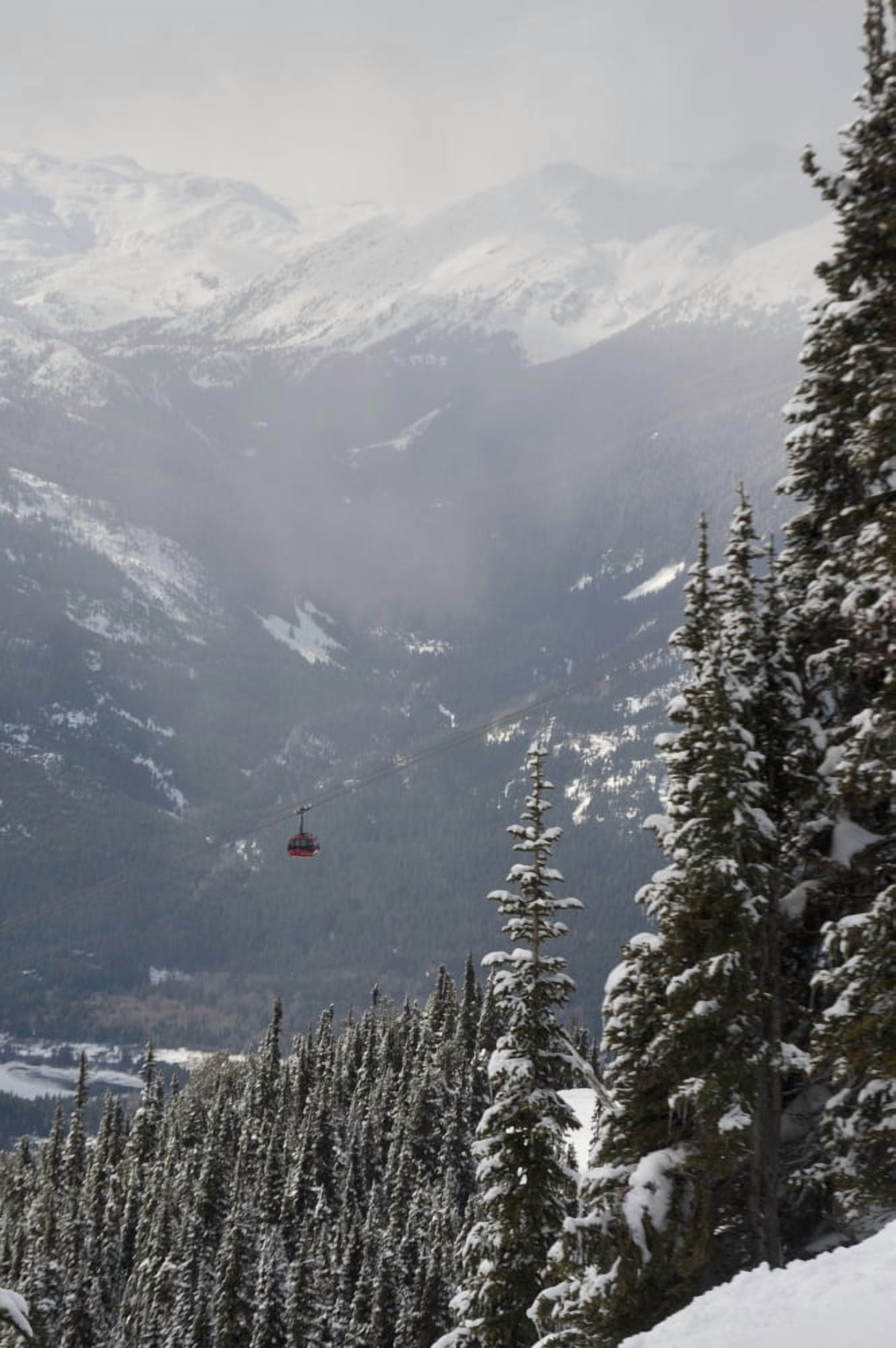 A Red Cable Car Riding Over The Snow Covered Forest Whistler British Columbia Canada Canvas Art - Keith Levit Design Pics (24 x 38)