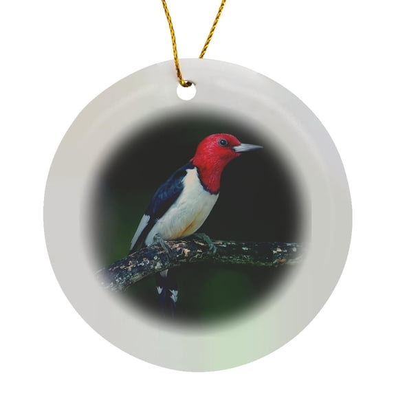 3drose, a Red-headed Woodpecker on the Branch of a Tree Posing for the Camera., Circle Porcelain Ornament