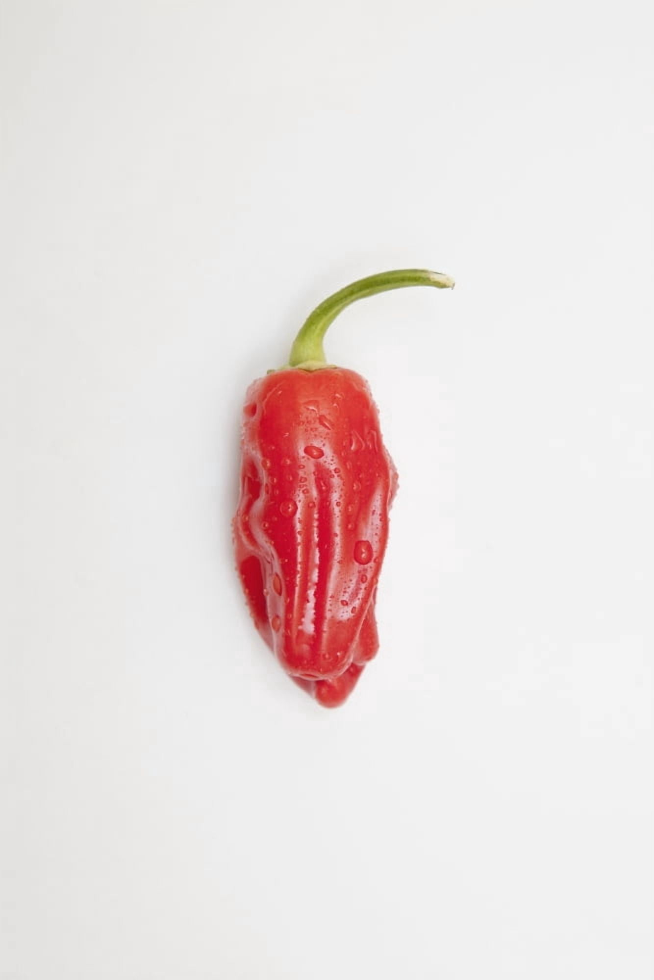 A Red Jalapeno Pepper That Looks Hot With Steam Canvas Art - John Short  Design Pics (12 x 19)