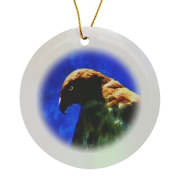 3drose, a Red Tailed Hawk Intensely Watching for Prey, Always on the Hunt, Circle Porcelain Ornament