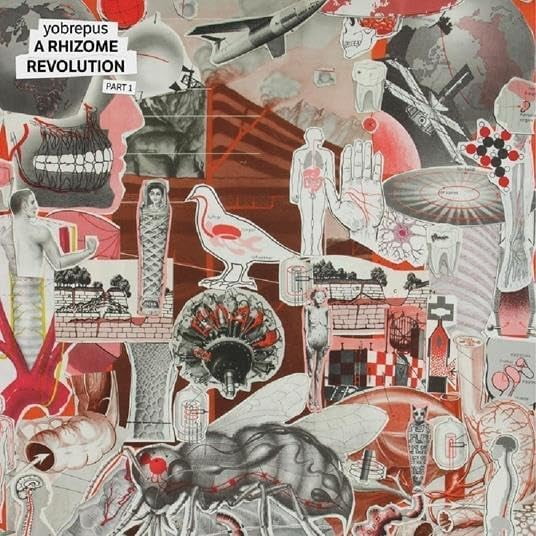 A Rhizome Revolution Part 1 (LP)