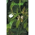 thumbnail image 1 of A Rite to Kill, (Paperback), 1 of 1