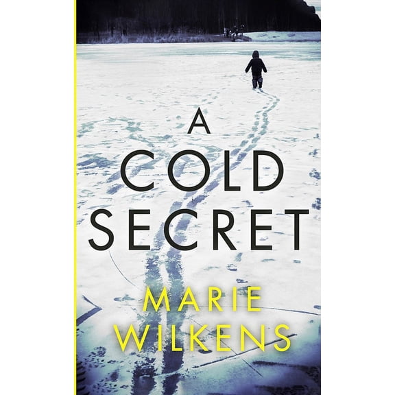 A Riveting Kidnapping Mystery: A Cold Secret (Paperback)