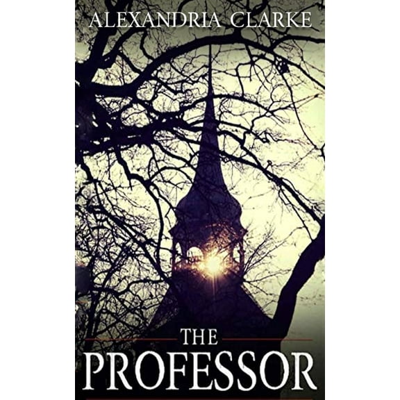 A Riveting Kidnapping Mystery: The Professor (Paperback)