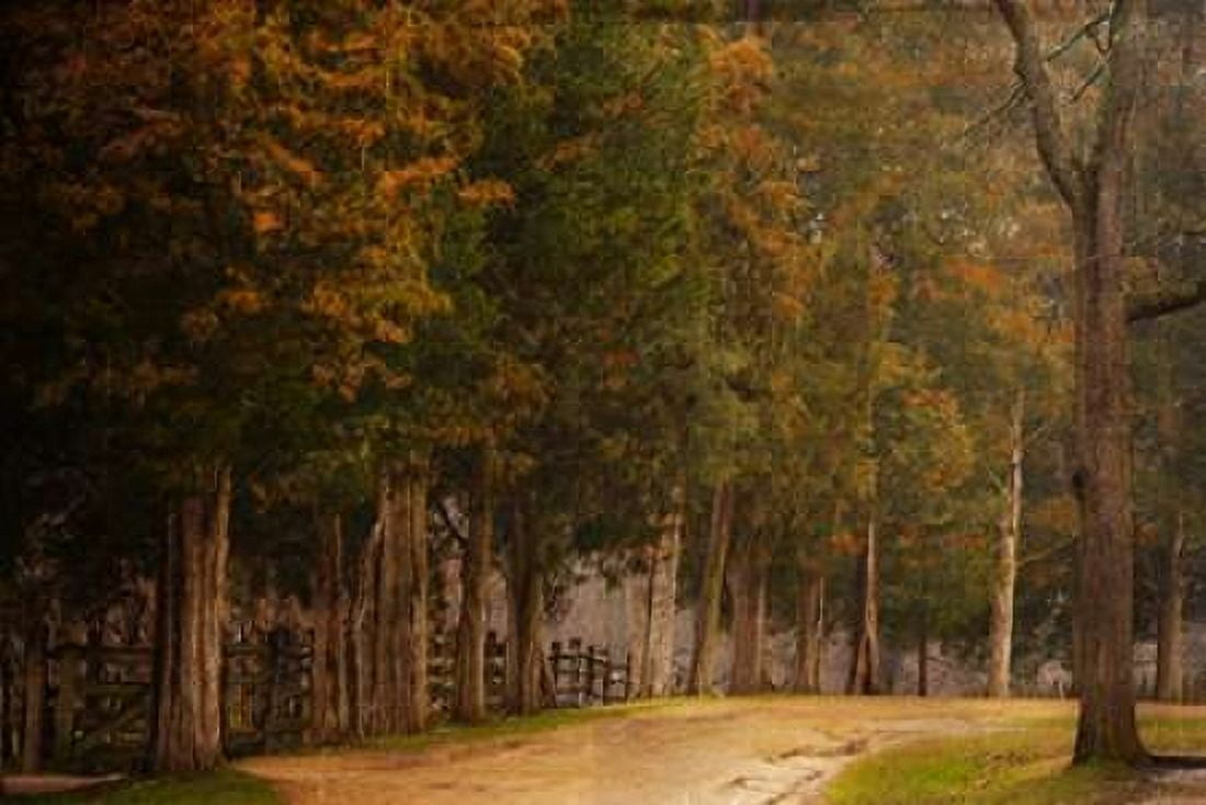 A Road Less Traveled Canvas Art - Ramona Murdock (24X36)