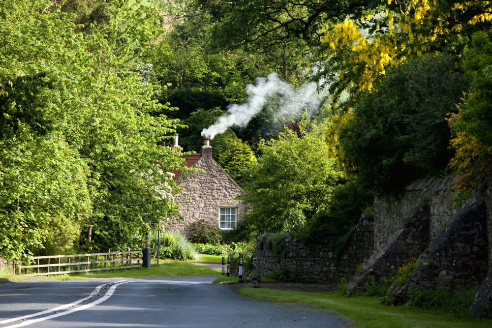 A Road Surrounded By Trees Leading To A House Northumberland England Canvas Art - John Short Design Pics (19 x 12)