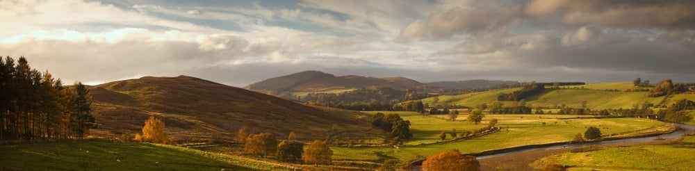 A Road Winding Through An Autumn Coloured Landscape Scots View Scottish Borders Scotland Canvas Art - John Short Design Pics (43 x 10)