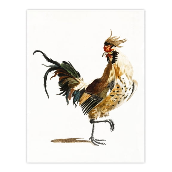 A Rooster Watercolour Painting Johan Teyler Huge Wall Art Print 18X24 In