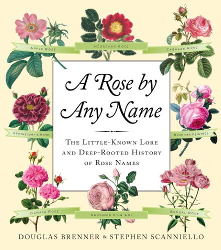 Pre-Owned A Rose by Any Name: The Little-Known Lore and Deep-Rooted History of Rose Names (Hardcover) 1565125185 9781565125186