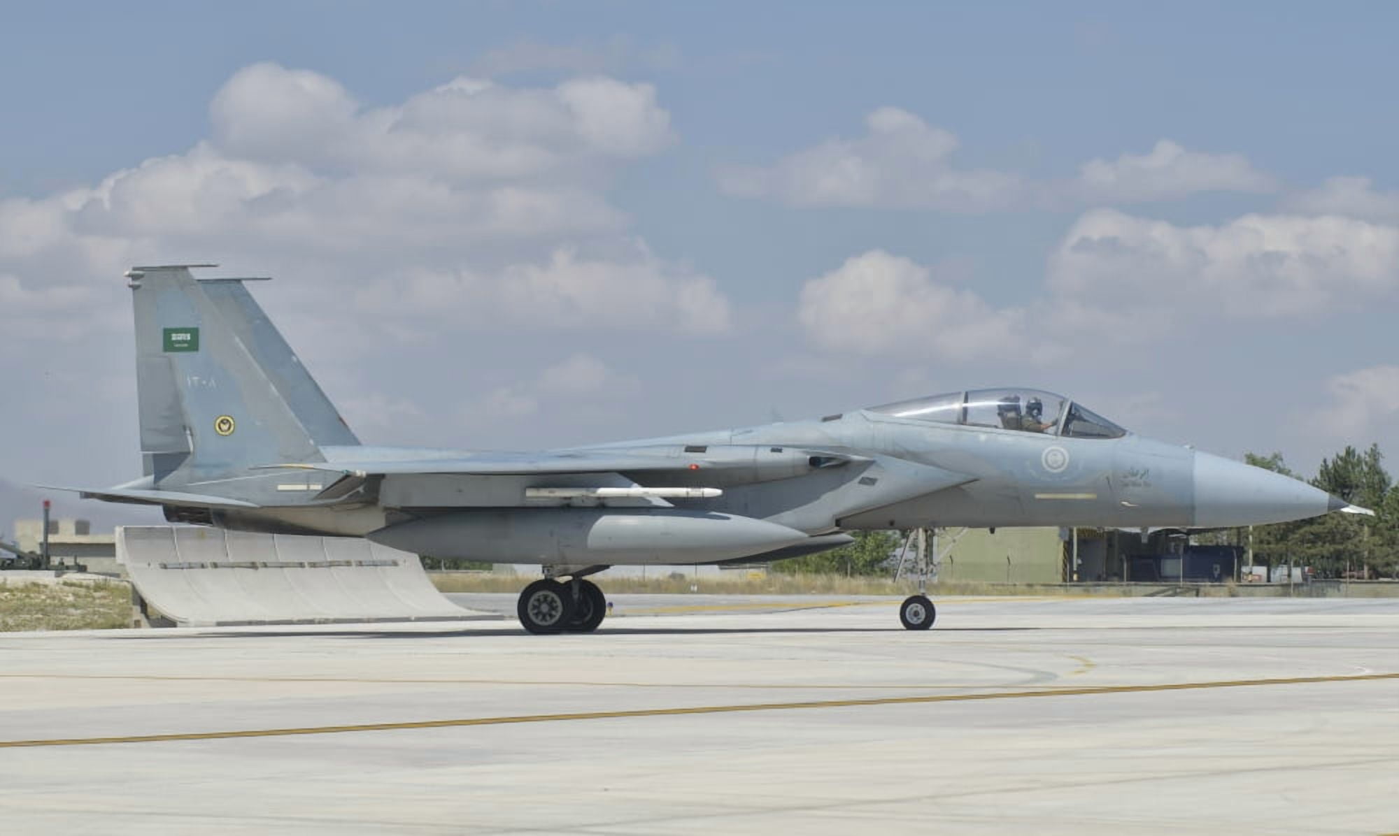A Royal Saudi Air Force F-15 at Albacete Air Base Spain Canvas Art - Giovanni CollaStocktrek Images (18 x 11)