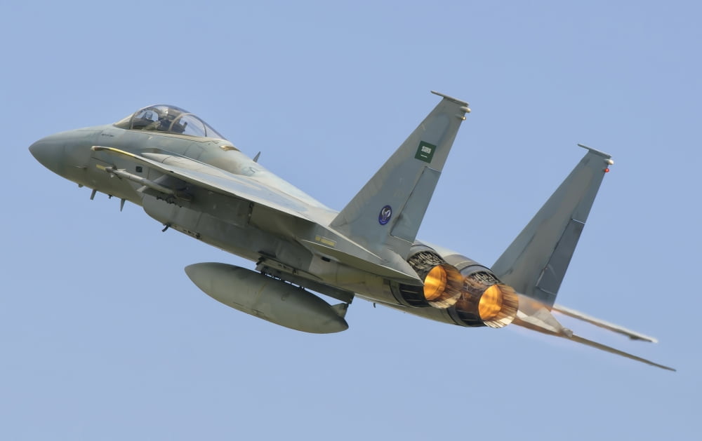 A Royal Saudi Air Force F-15C during Exercise Green Shield 2014 in France Canvas Art - Giovanni CollaStocktrek Images (35 x 22)