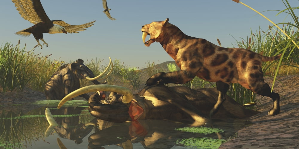 A Saber Tooth Cat attacks a Woolly Mammoth Canvas Art - Corey FordStocktrek Images (40 x 20)