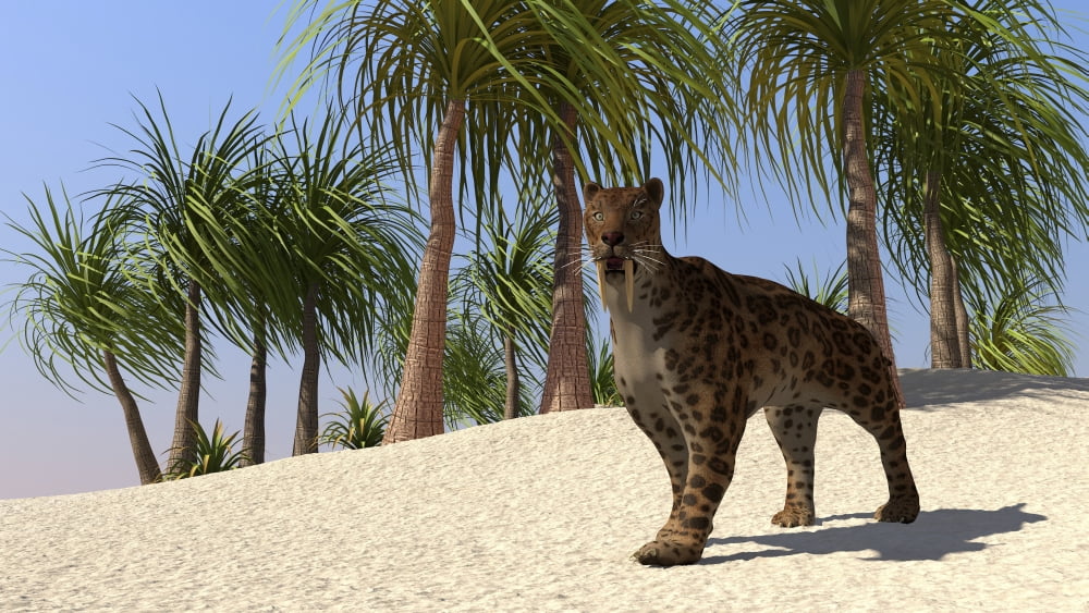 A Saber-Tooth Tiger in a tropical environment Canvas Art - Kostyantyn IvanyshenStocktrek Images (19 x 11)