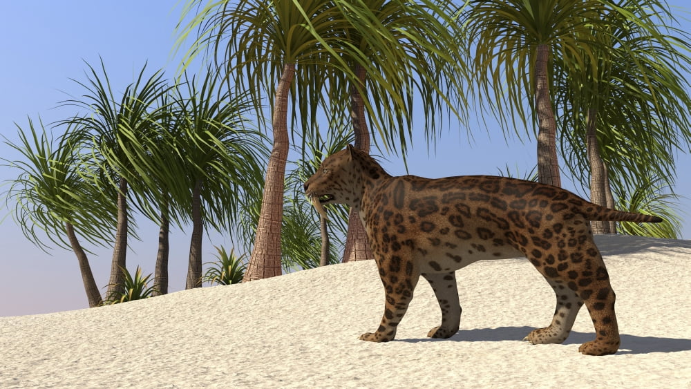A Saber-Tooth Tiger in a tropical environment Canvas Art - Kostyantyn IvanyshenStocktrek Images (19 x 11)