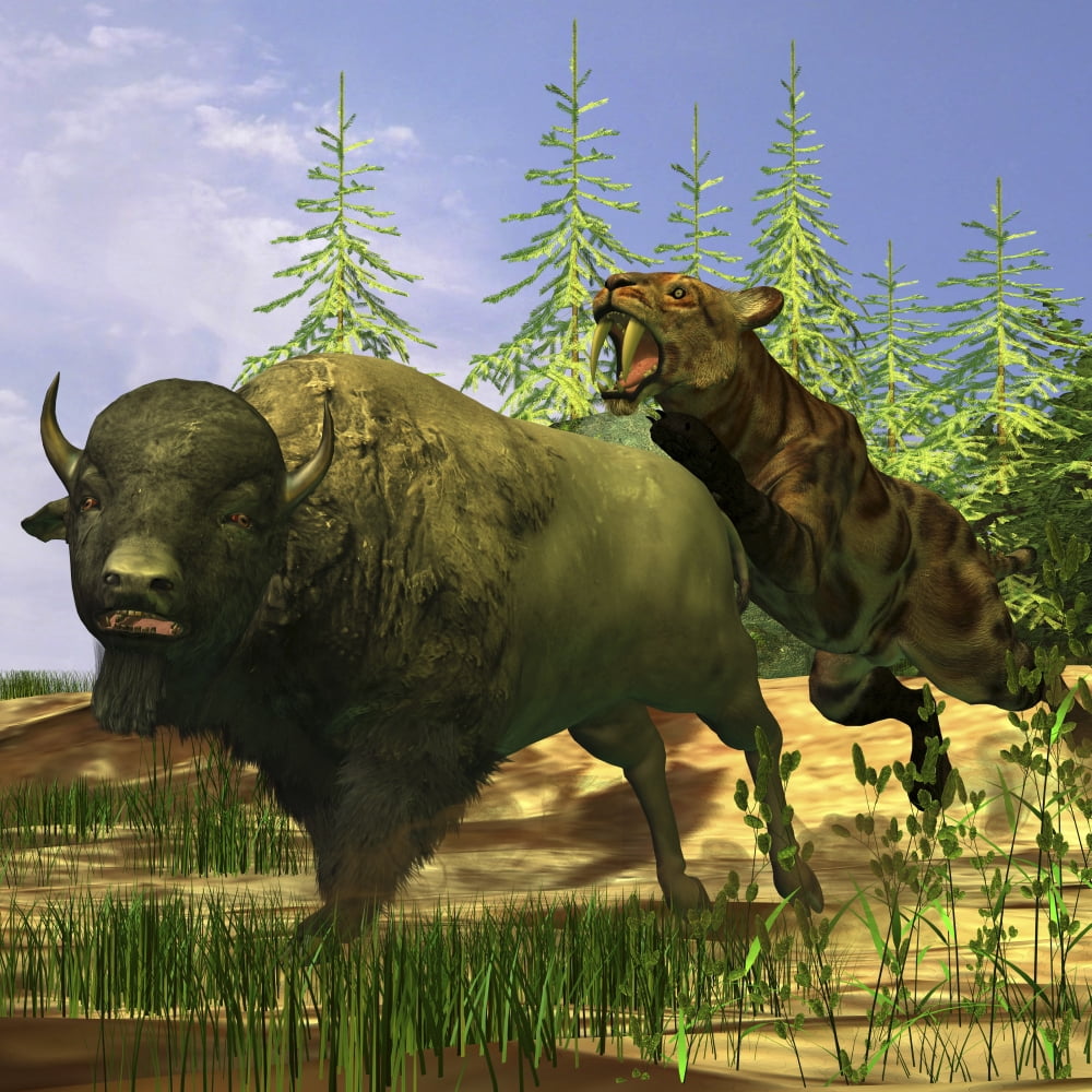 A Saber-Tooth cat pounces onto a frightened Buffalo Canvas Art - Corey FordStocktrek Images (28 x 28)