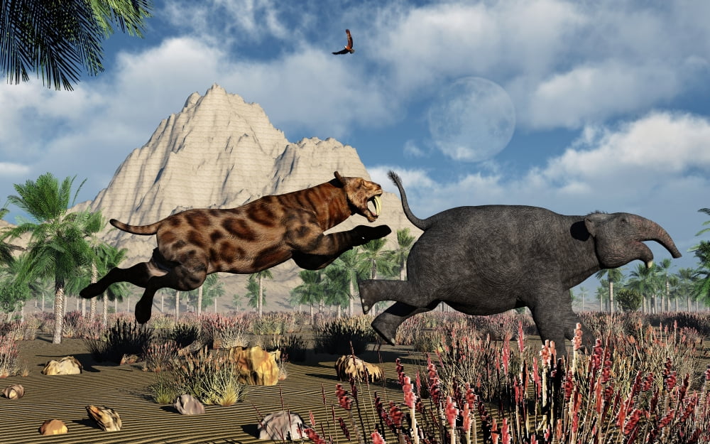 A Sabre-Tooth Tiger attacking a young Deinotherium Canvas Art - Mark StevensonStocktrek Images (18 x 12)