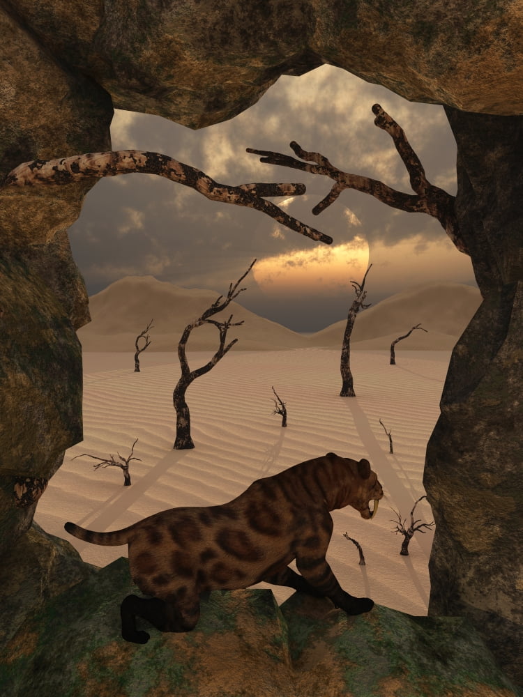 A Sabre Tooth Tiger stands in the entrance to a cave Canvas Art - Mark StevensonStocktrek Images (25 x 33)