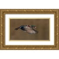 thumbnail image 1 of A, Salman 14x9 Gold Ornate Wood Framed with Double Matting Museum Art Print Titled - Wood Duck-Male In-Flight, 1 of 4