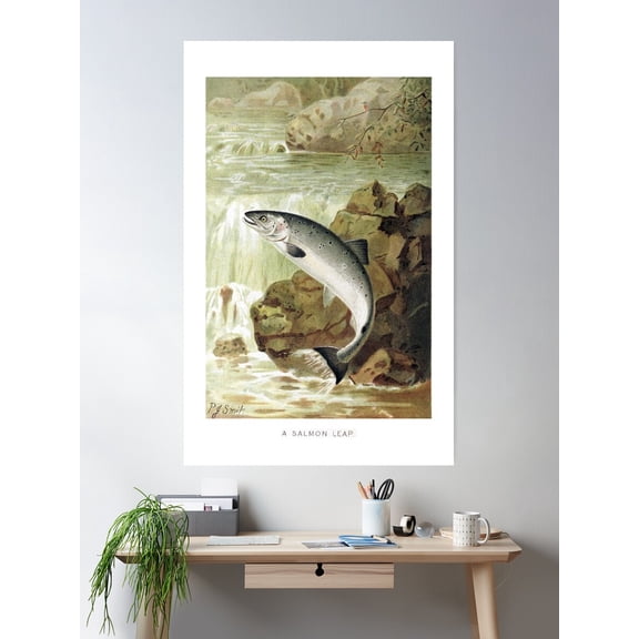 A Salmon Leap Poster Wall Art, Modern Wall Decor For Living Room Bedroom, 8x12 UNFRAMED