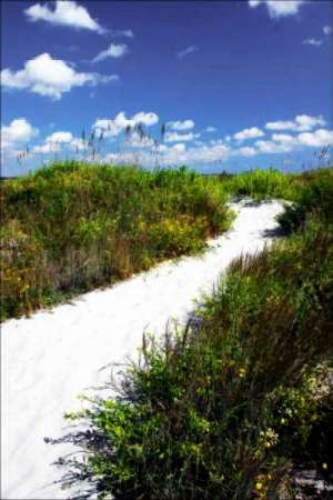 A Sandy Pathway II Canvas Art - Alan Hausenflock (12 x 18)
