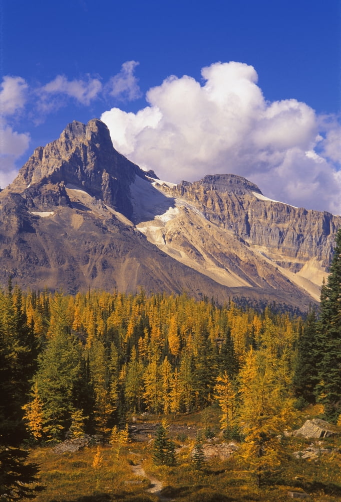 A Scenic Mountain View Canvas Art - Carson Ganci Design Pics (11 x 17)