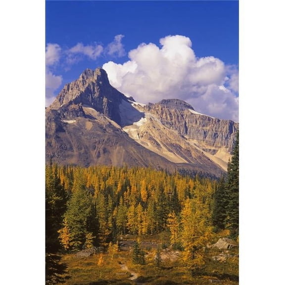 A Scenic Mountain View Poster Print - 22 x 34 in. - Large