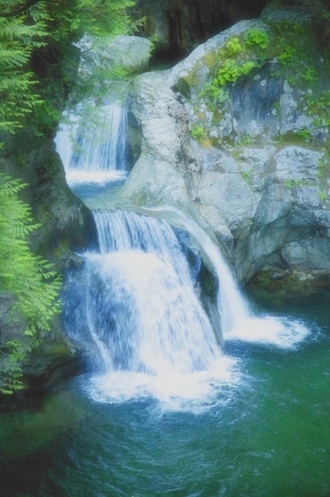 A Scenic Waterfall Canvas Art - Don Hammond  Design Pics (22 x 34)