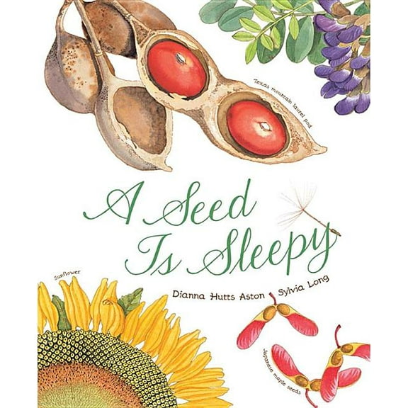 A Seed Is Sleepy (Paperback)