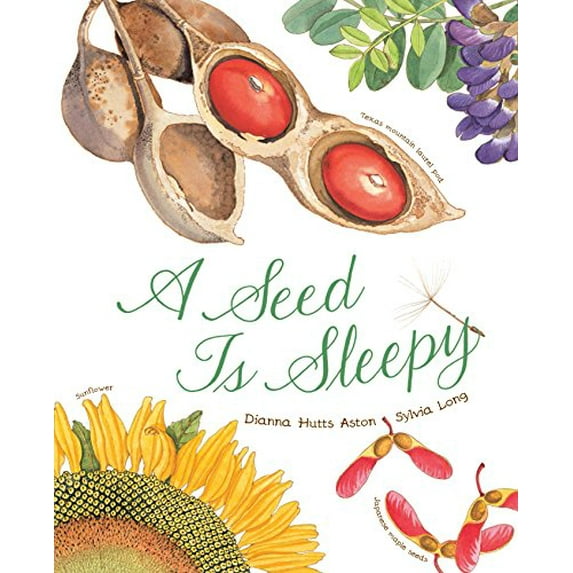 Pre-Owned A Seed Is Sleepy (Paperback)